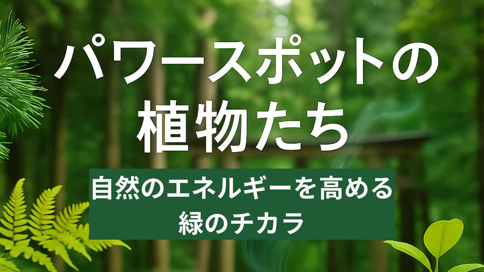 パワースポットの植物たち｜自然のエネルギーを高める緑のチカラ